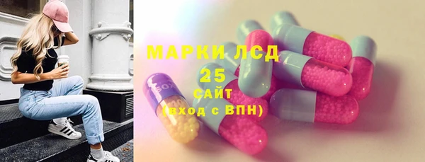 стаф Осташков