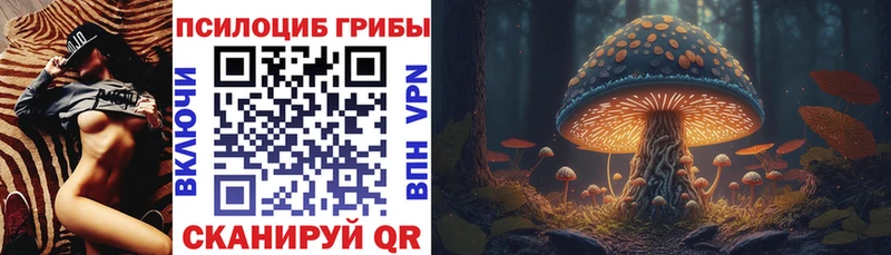Галлюциногенные грибы Psilocybe  Сасово 
