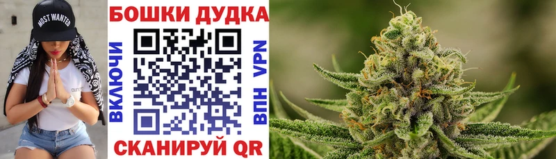 Марихуана гибрид Сасово